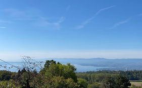 Petite Maison A L'Oree Des Bois Vue Magnifique Sur Le Lac Zenitude Et Plenitude