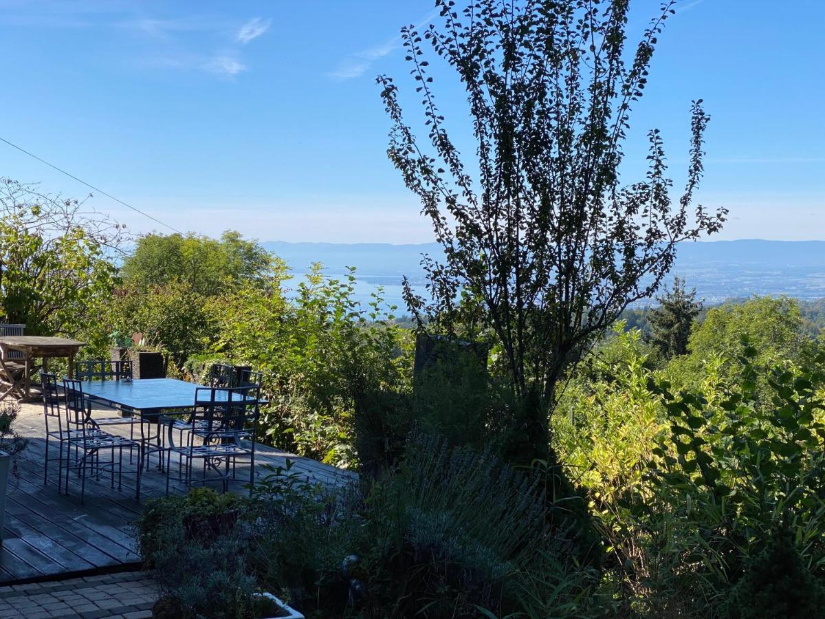 Petite Maison A L'Oree Des Bois Vue Magnifique Sur Le Lac Zenitude Et Plenitude Belmont-sur-Lausanne Buitenkant foto