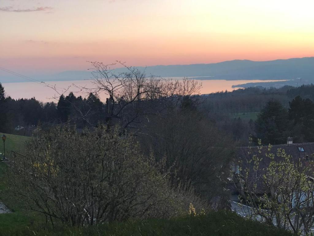 Petite Maison A L'Oree Des Bois Vue Magnifique Sur Le Lac Zenitude Et Plenitude Belmont-sur-Lausanne Buitenkant foto